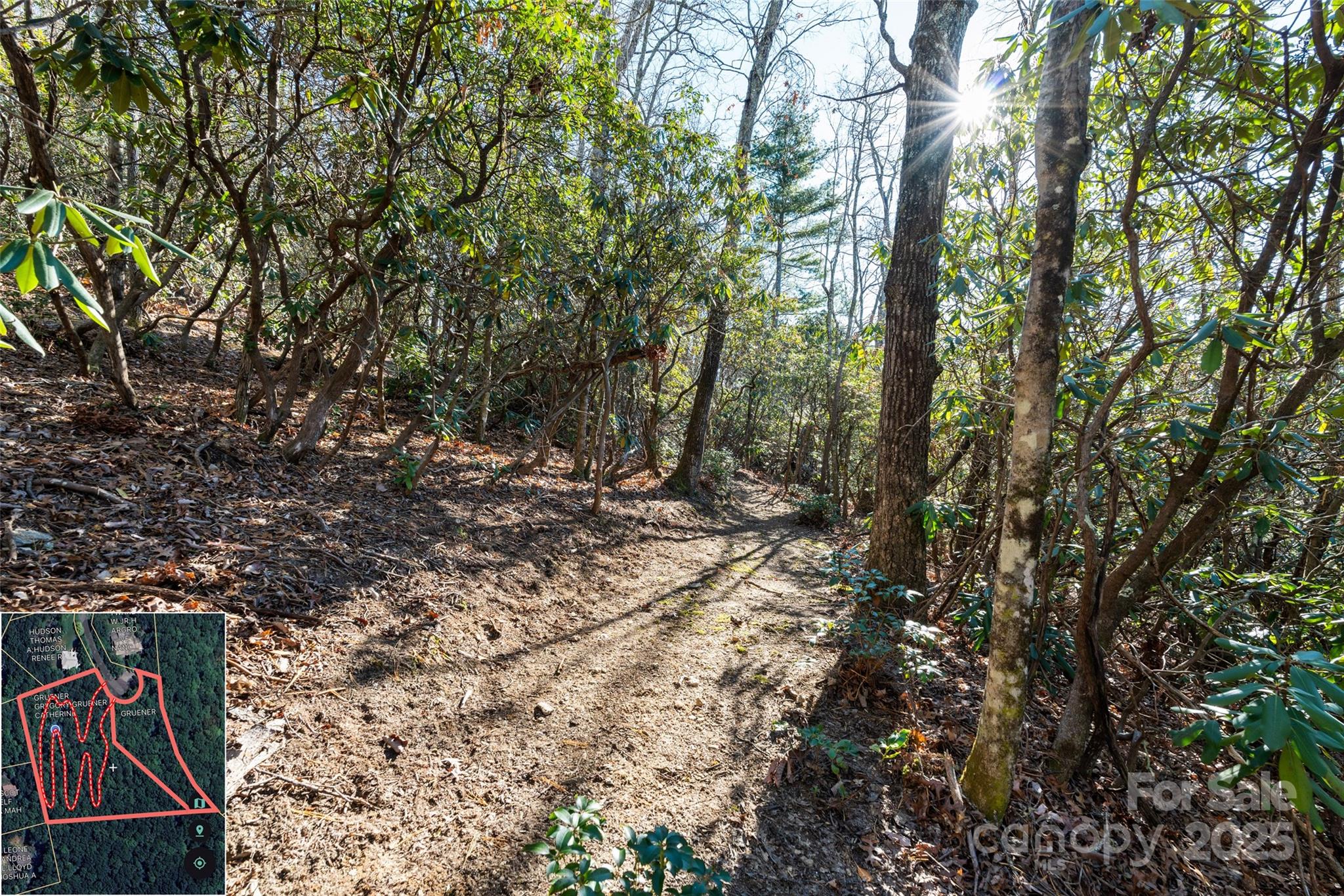 9999 North Fork Road Black Mountain NC 28711