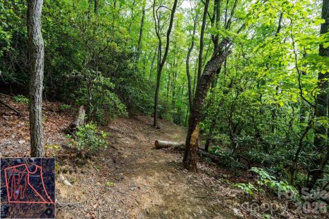 9999 North Fork Road Black Mountain NC 28711