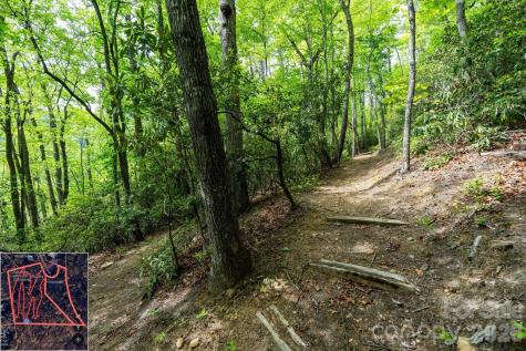 9999 North Fork Road Black Mountain NC 28711