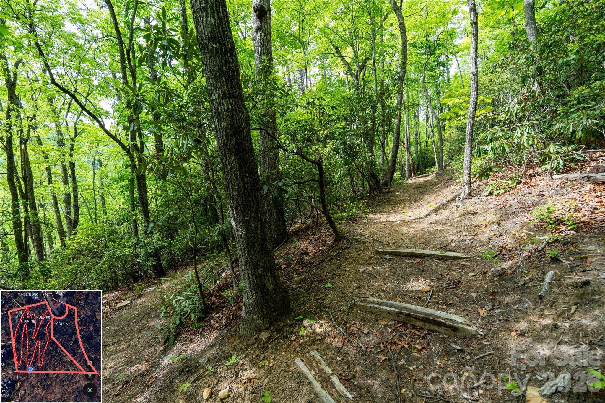 9999 North Fork Road Black Mountain NC 28711