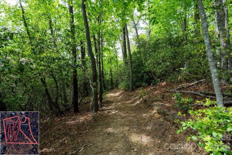 9999 North Fork Road Black Mountain NC 28711