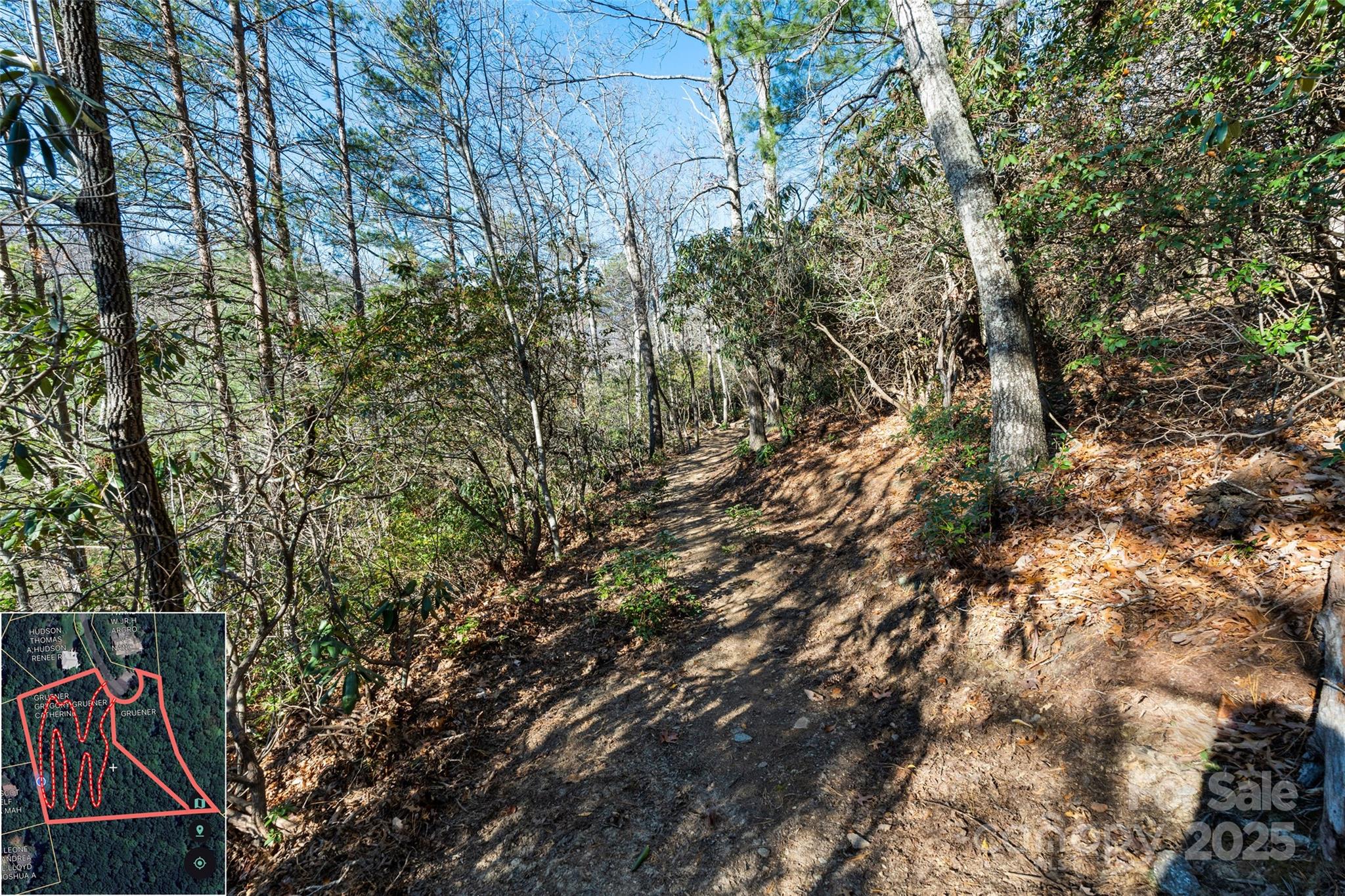 9999 North Fork Road Black Mountain NC 28711