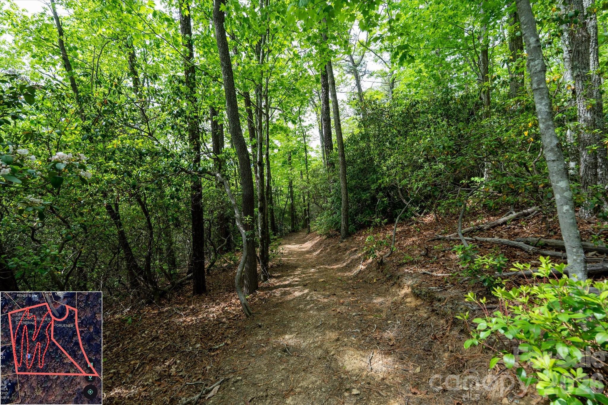9999 North Fork Road Black Mountain NC 28711