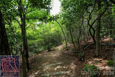 9999 North Fork Road Black Mountain NC 28711