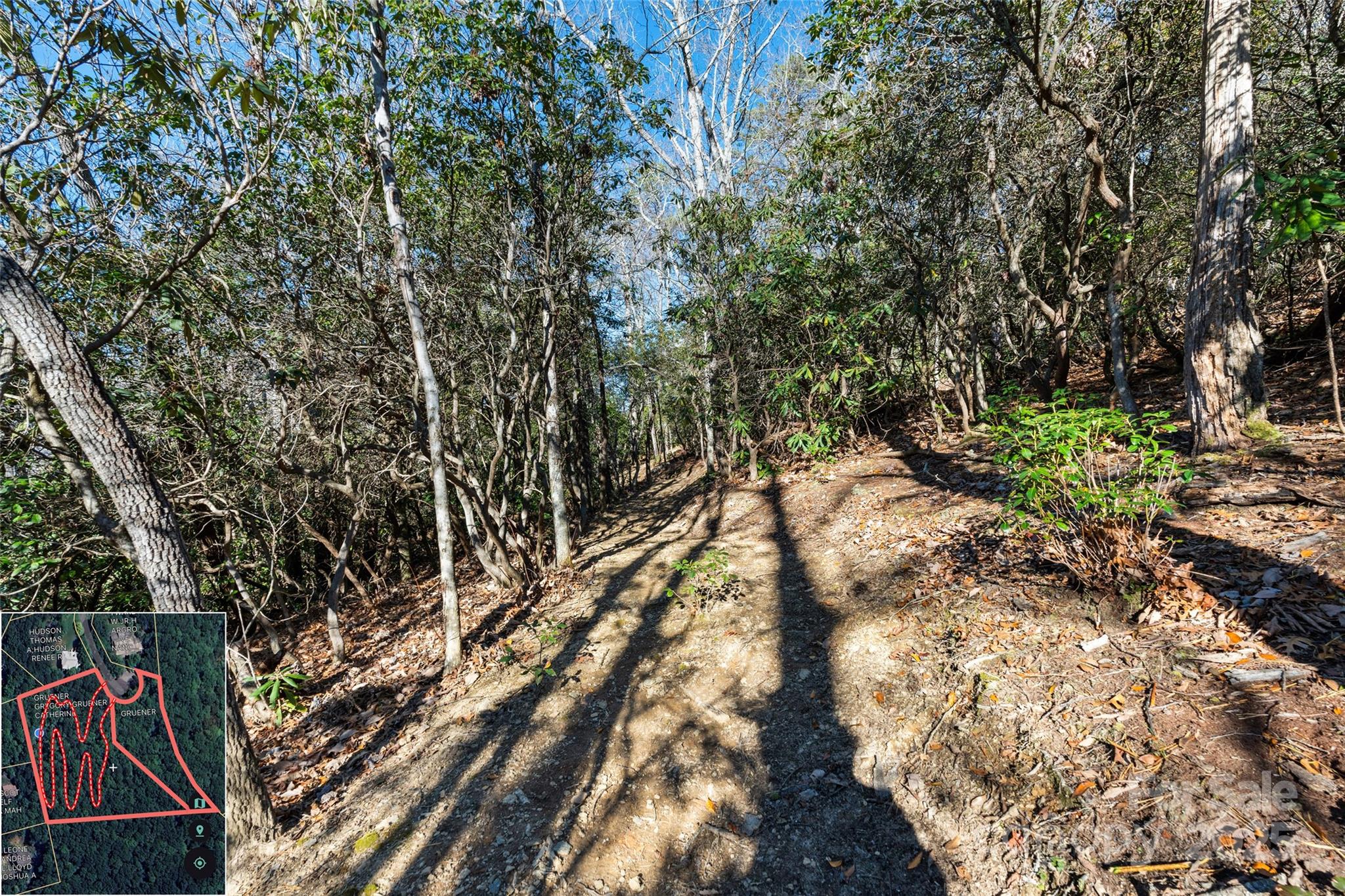 9999 North Fork Road Black Mountain NC 28711