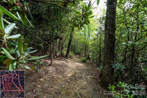 9999 North Fork Road Black Mountain NC 28711