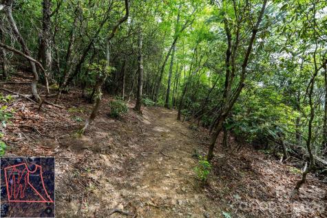 9999 North Fork Road Black Mountain NC 28711