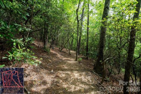 9999 North Fork Road Black Mountain NC 28711