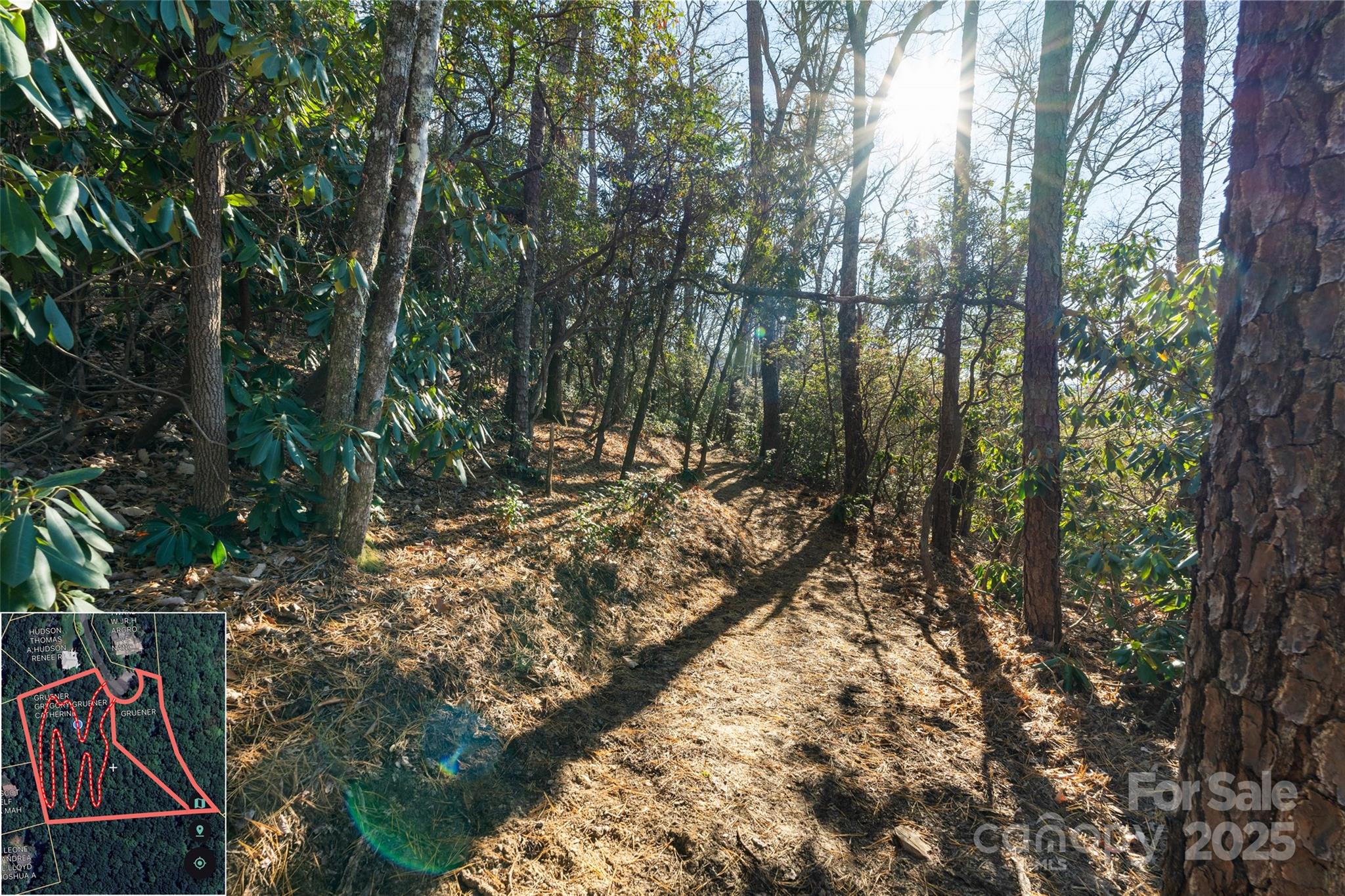 9999 North Fork Road Black Mountain NC 28711