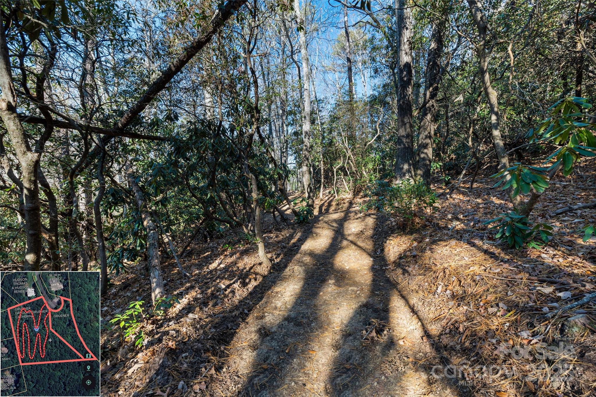 9999 North Fork Road Black Mountain NC 28711