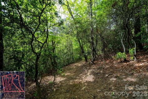 9999 North Fork Road Black Mountain NC 28711