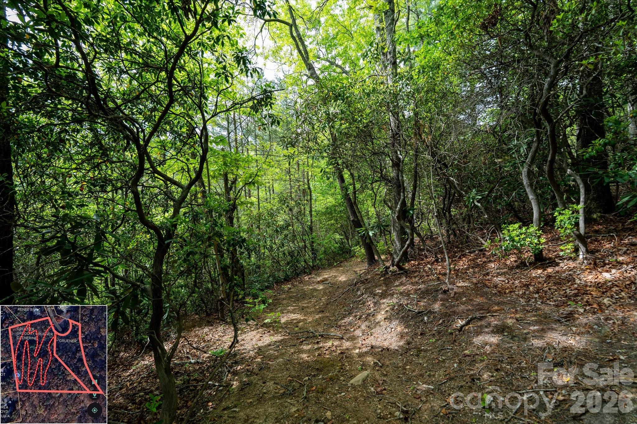 9999 North Fork Road Black Mountain NC 28711