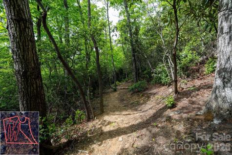 9999 North Fork Road Black Mountain NC 28711