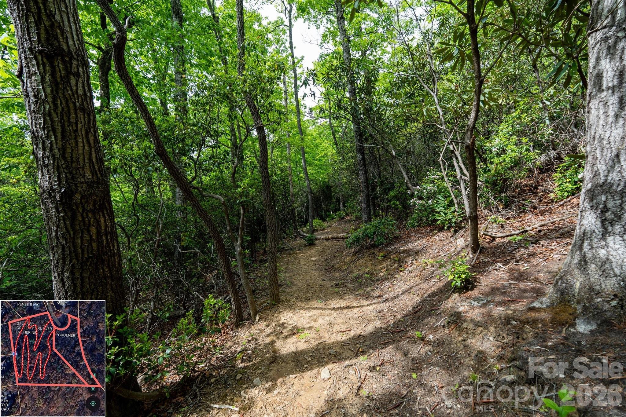 9999 North Fork Road Black Mountain NC 28711