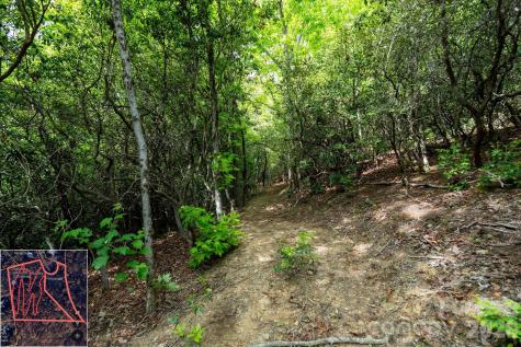 9999 North Fork Road Black Mountain NC 28711