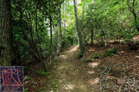 9999 North Fork Road Black Mountain NC 28711