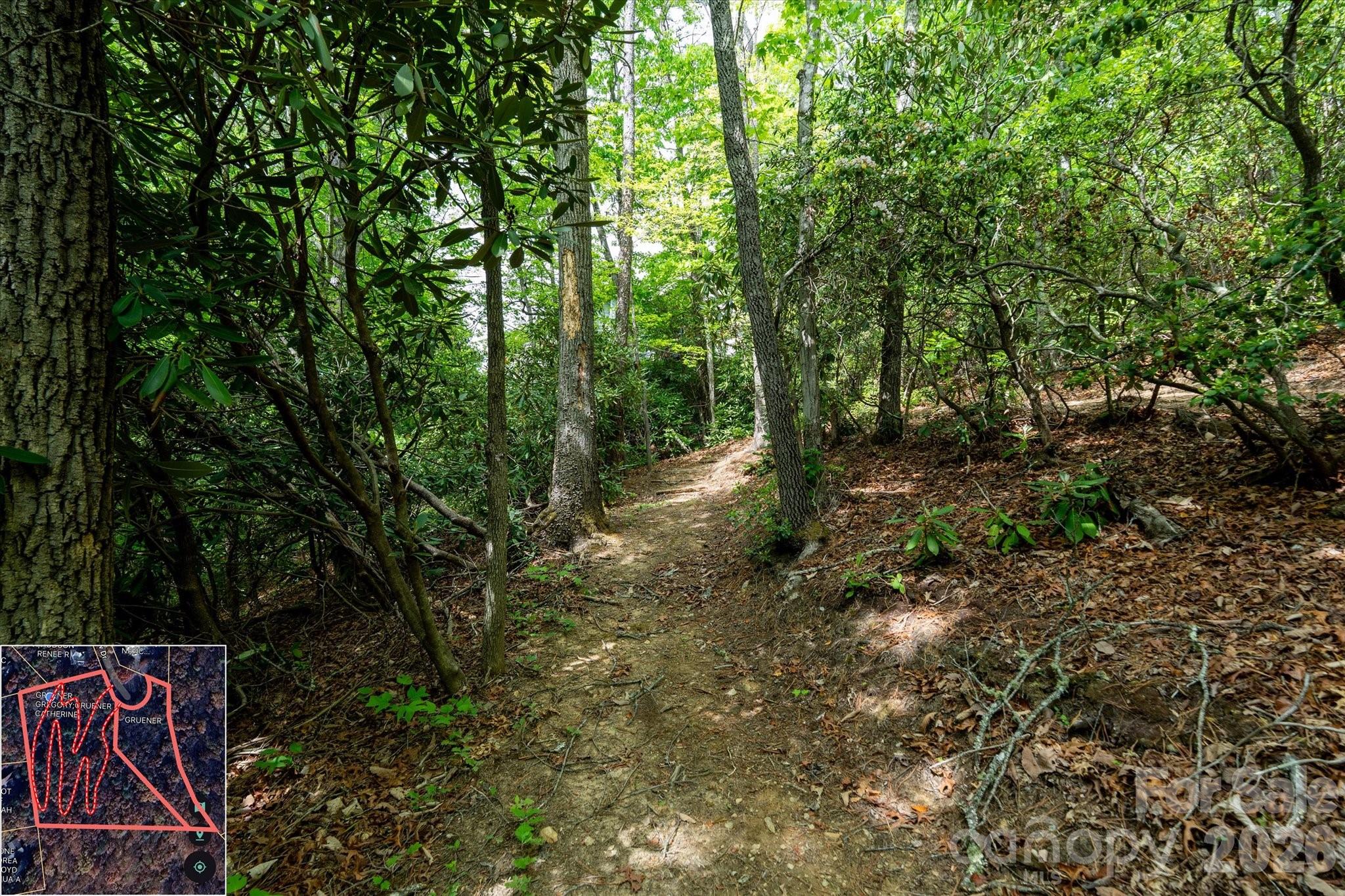 9999 North Fork Road Black Mountain NC 28711