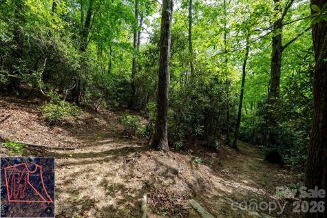 9999 North Fork Road Black Mountain NC 28711