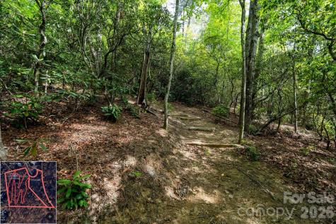 9999 North Fork Road Black Mountain NC 28711