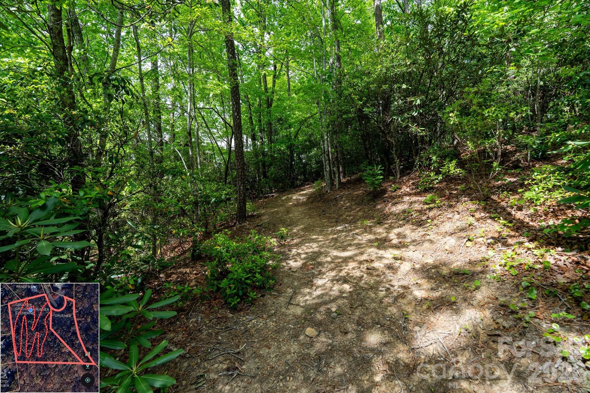 9999 North Fork Road Black Mountain NC 28711
