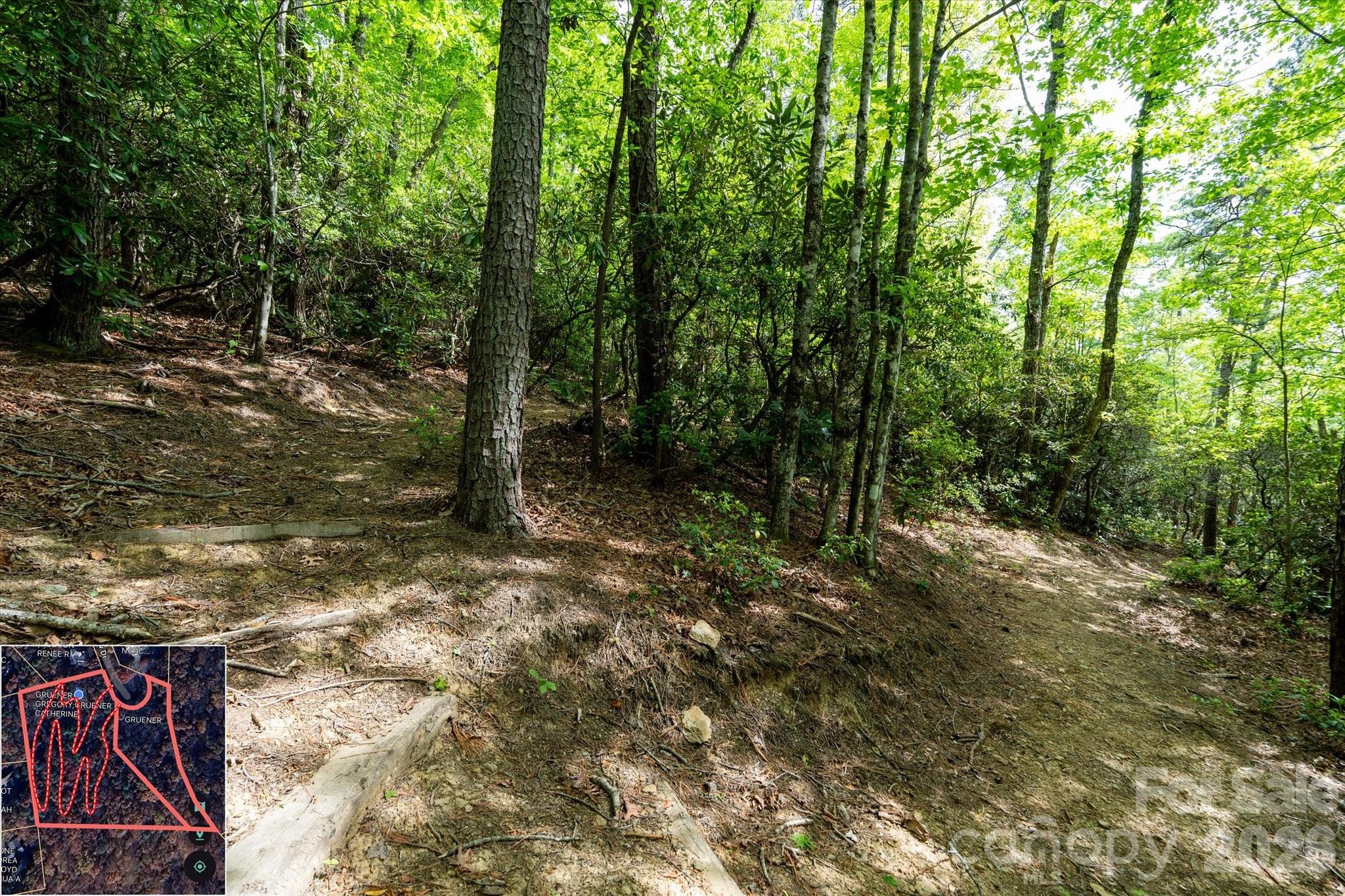 9999 North Fork Road Black Mountain NC 28711