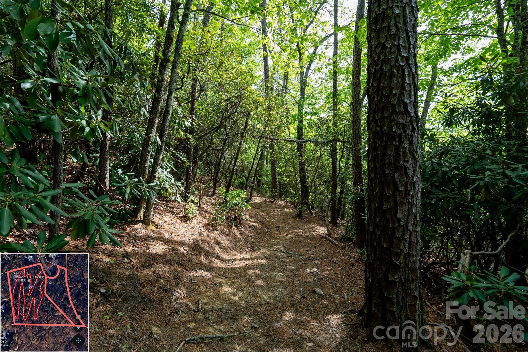 9999 North Fork Road Black Mountain NC 28711