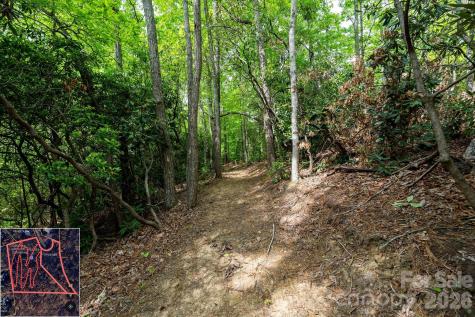 9999 North Fork Road Black Mountain NC 28711