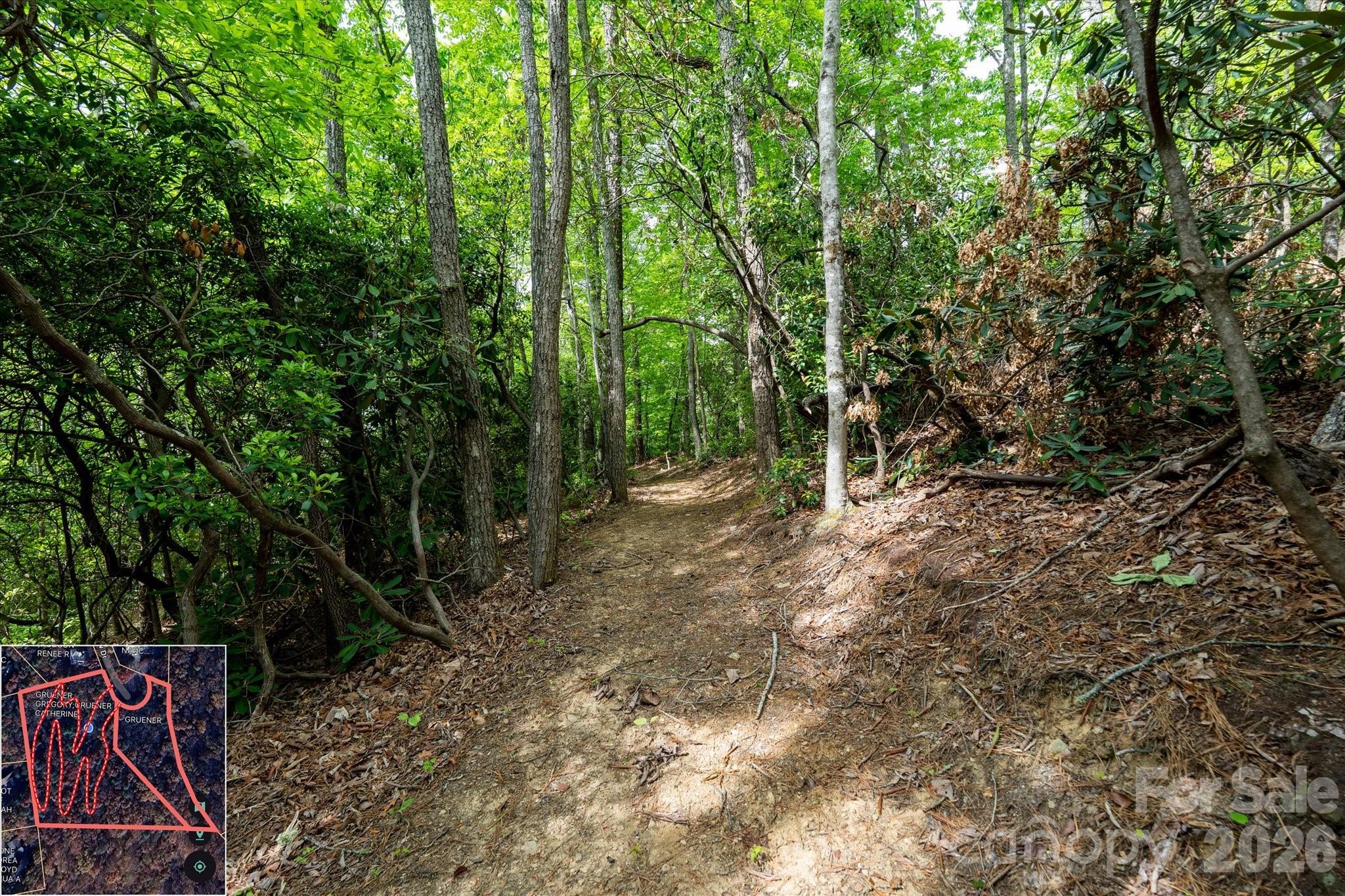 9999 North Fork Road Black Mountain NC 28711