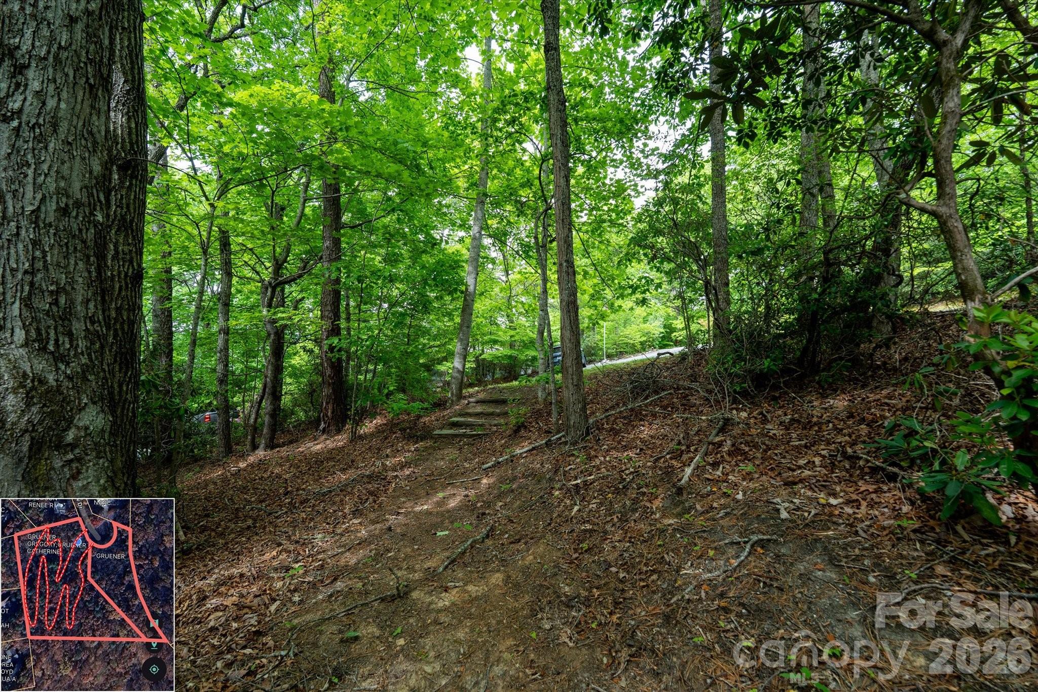 9999 North Fork Road Black Mountain NC 28711