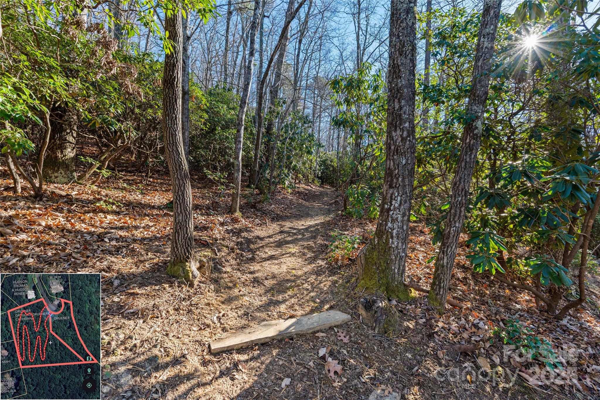 9999 North Fork Road Black Mountain NC 28711