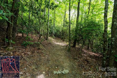 9999 North Fork Road Black Mountain NC 28711