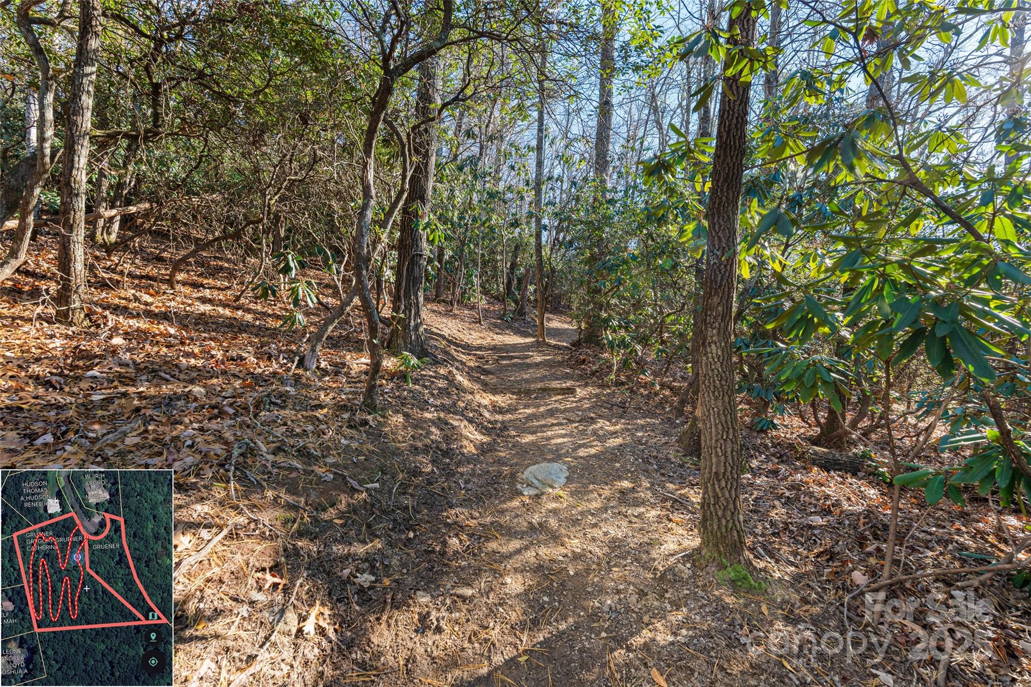 9999 North Fork Road Black Mountain NC 28711