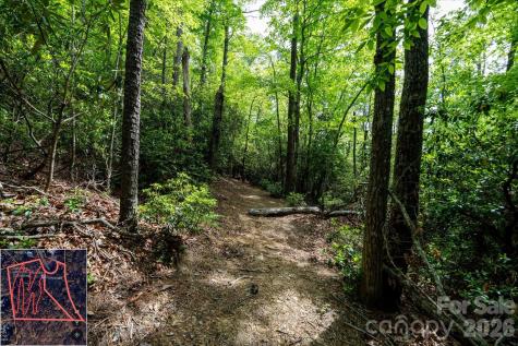 9999 North Fork Road Black Mountain NC 28711