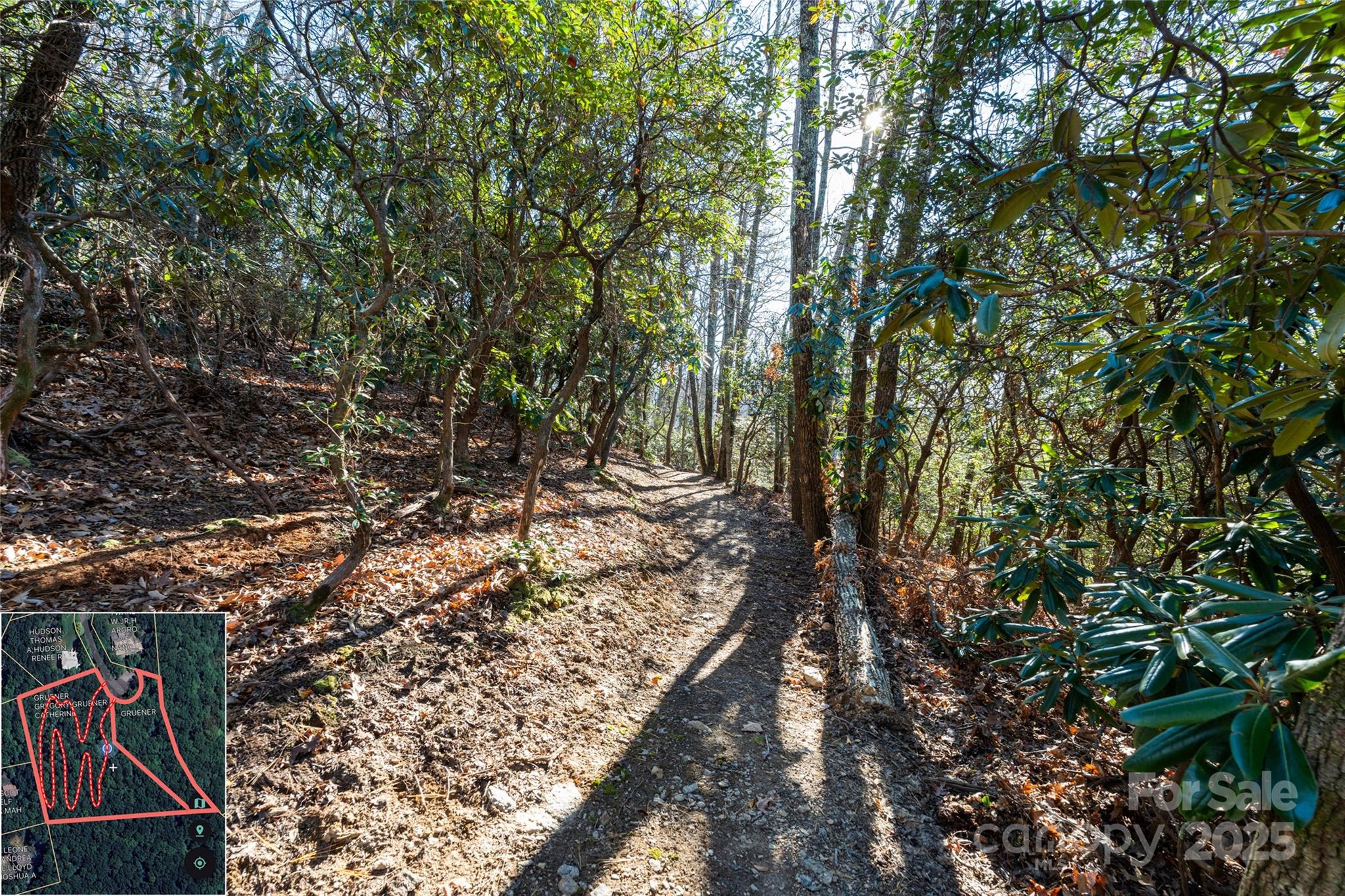 9999 North Fork Road Black Mountain NC 28711