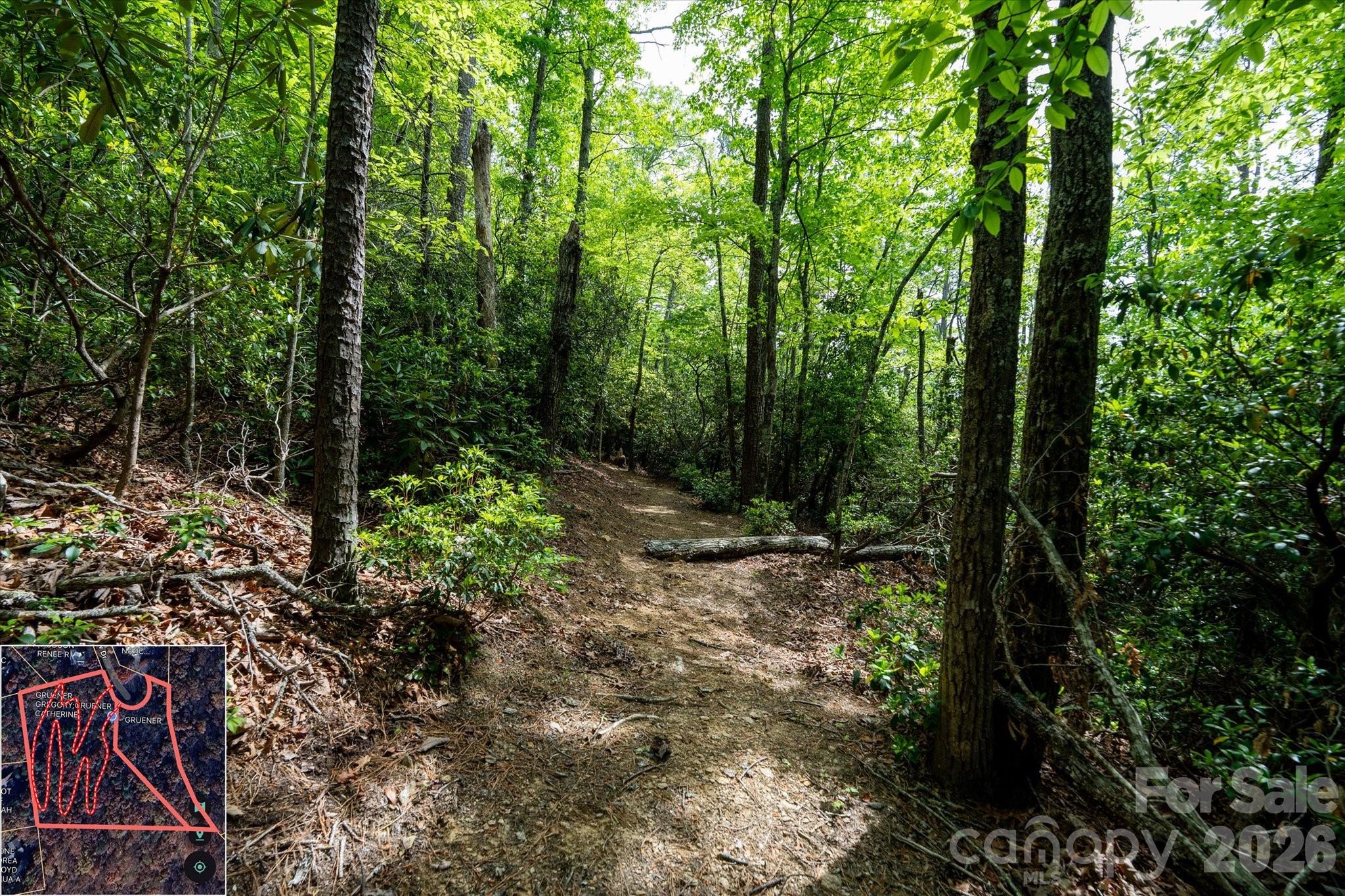 9999 North Fork Road Black Mountain NC 28711