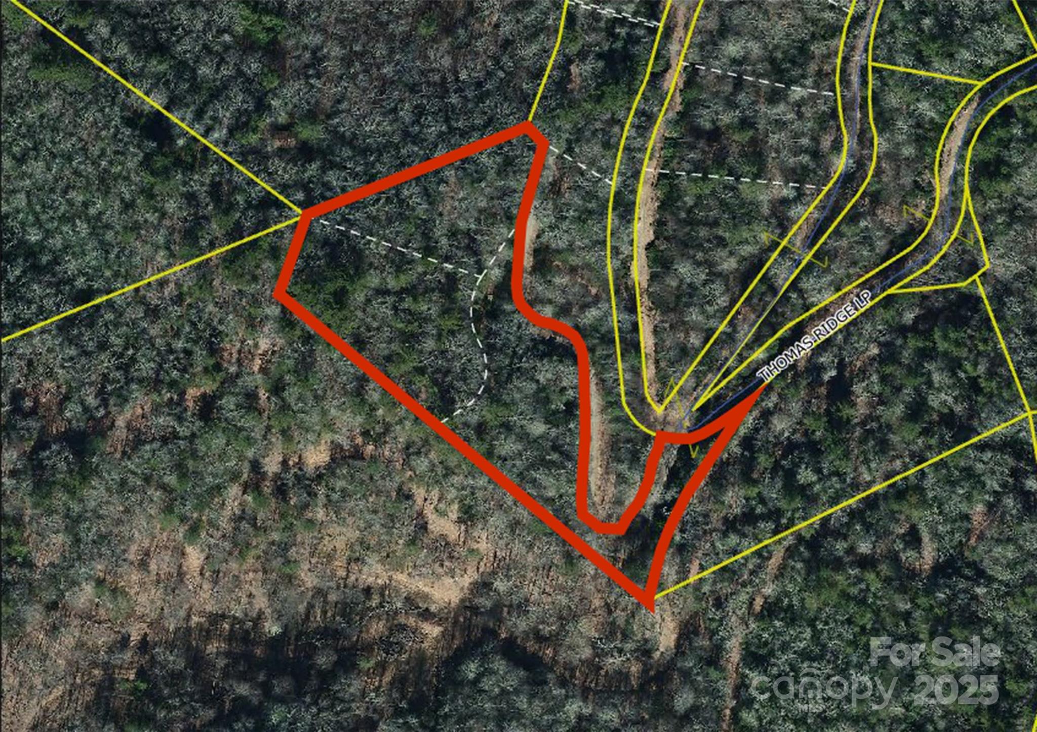 0000 Thomas Ridge Loop Green Mountain NC 28740