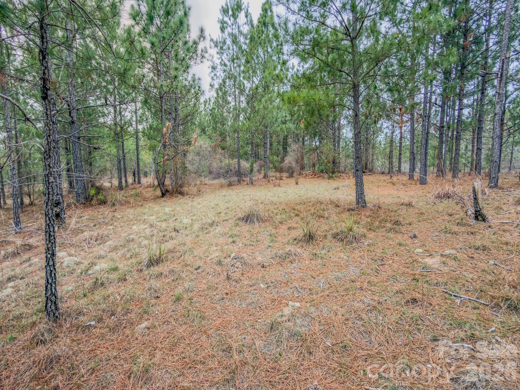 0 Lobelia Road Vass NC 28394
