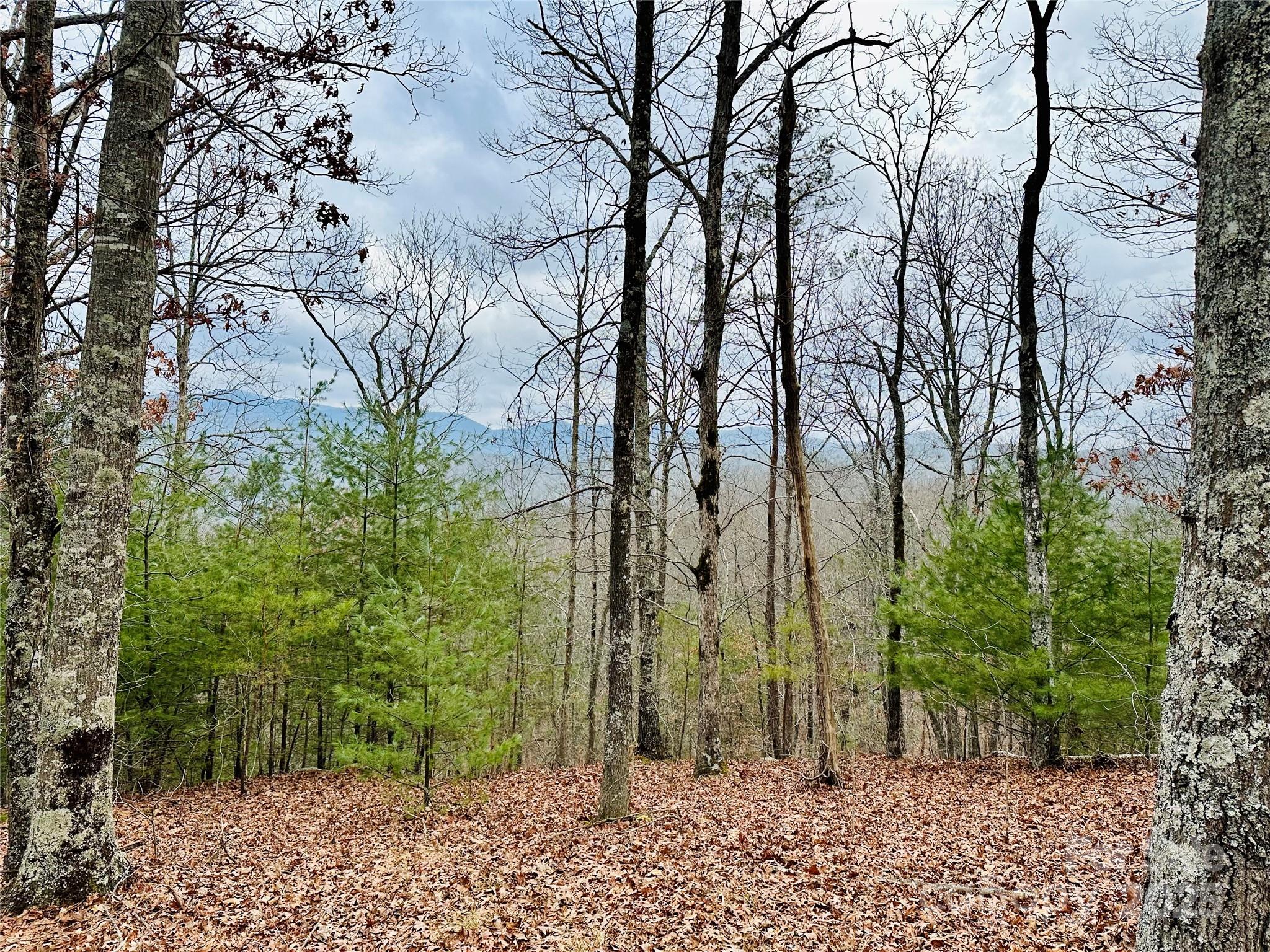 275 Raccoon Run Marshall NC 28753
