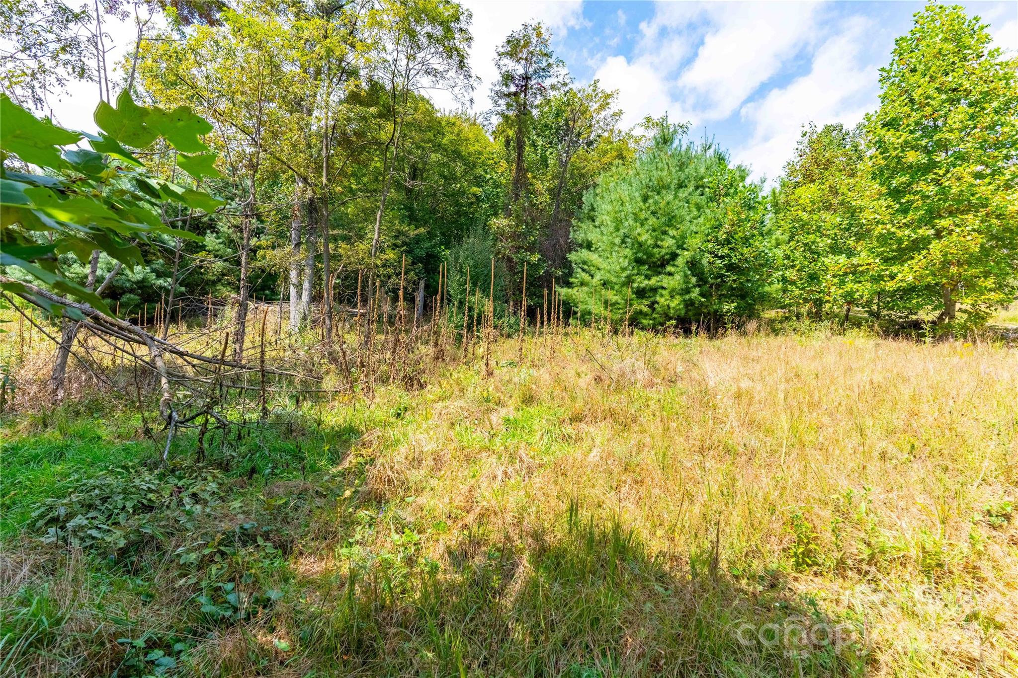 1043 Somersby Parkway Hendersonville NC 28739