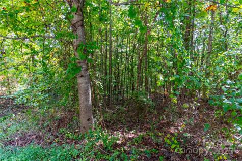 1043 Somersby Parkway Hendersonville NC 28739