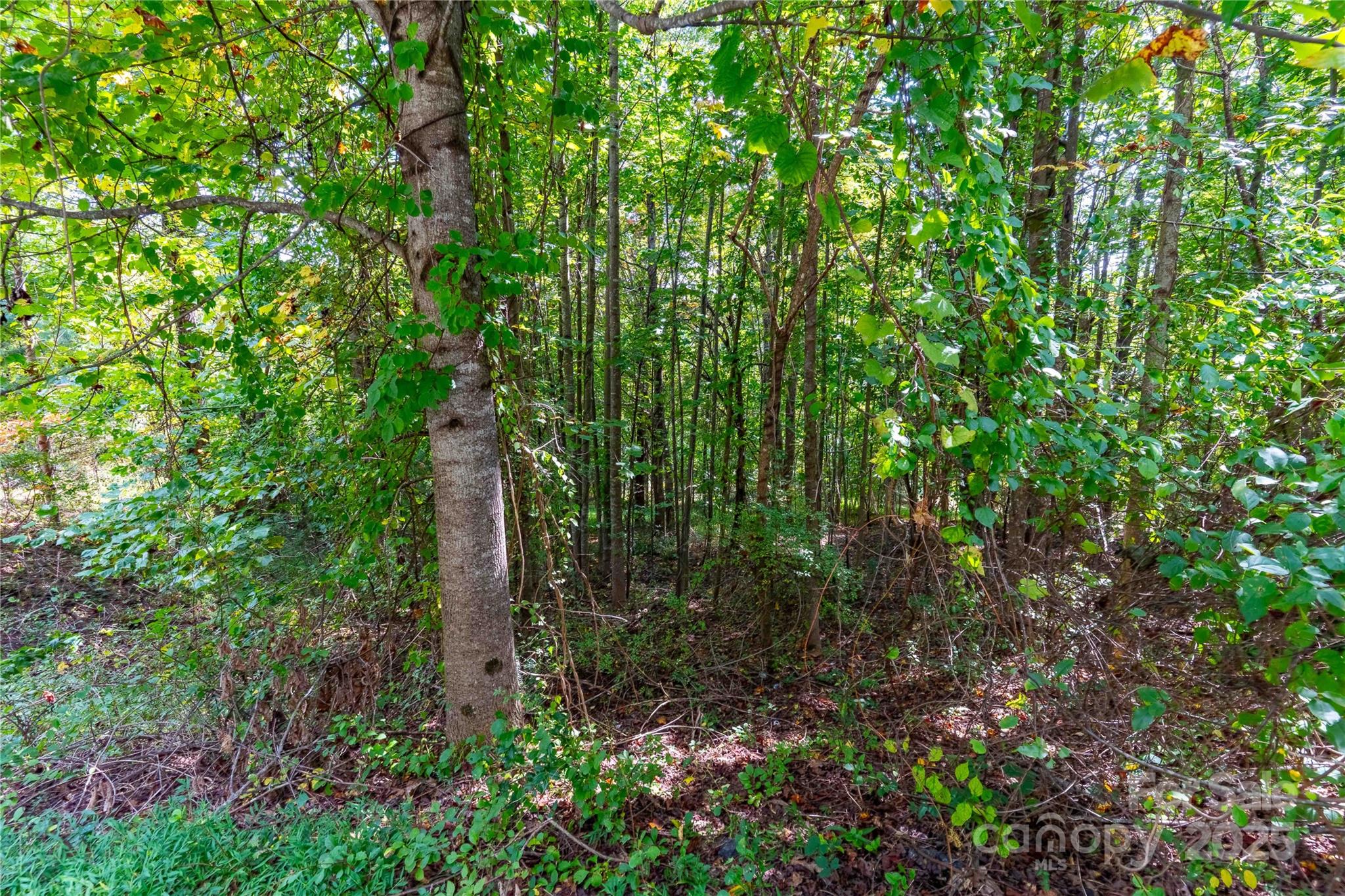 1043 Somersby Parkway Hendersonville NC 28739