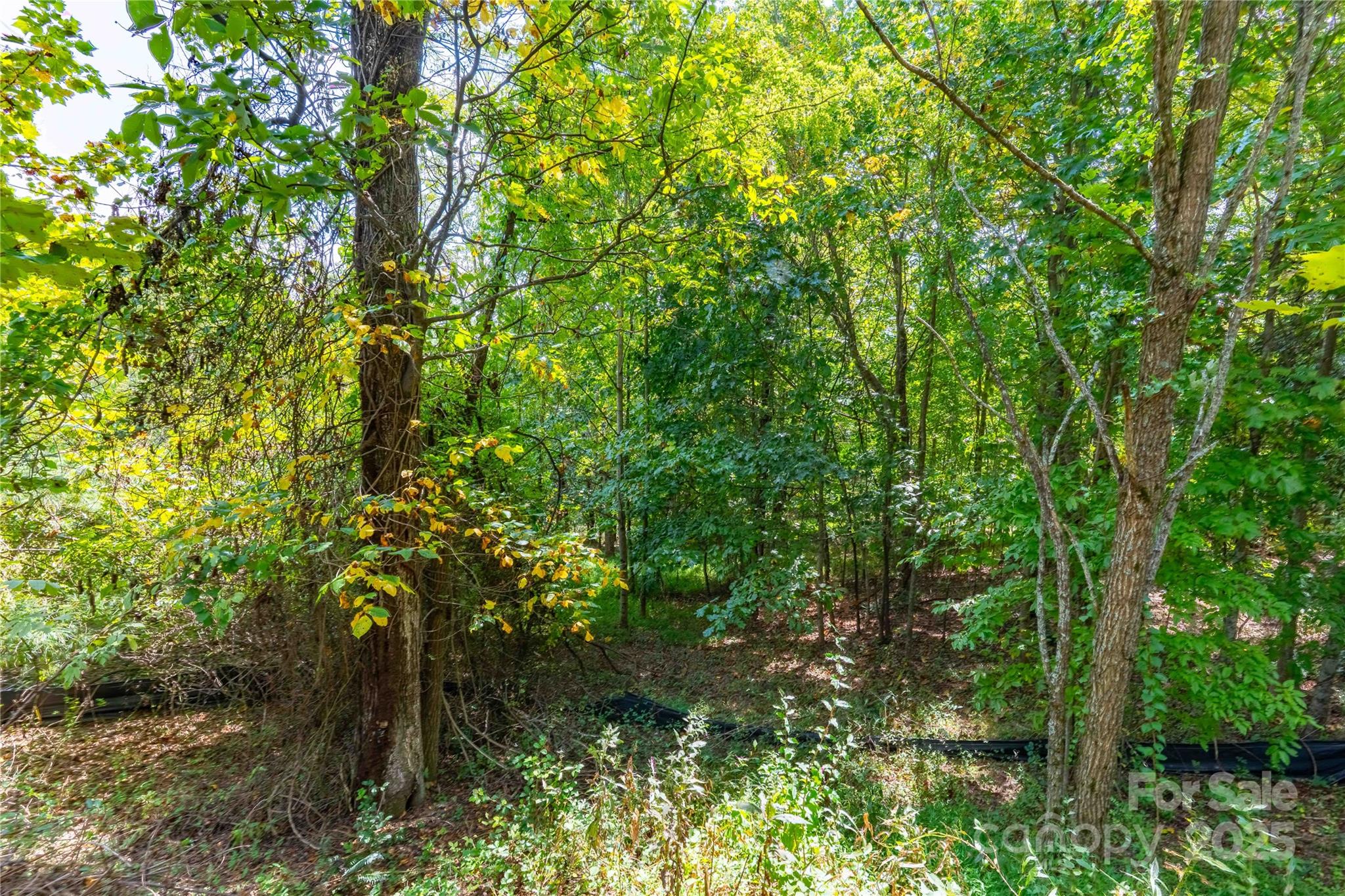 1043 Somersby Parkway Hendersonville NC 28739