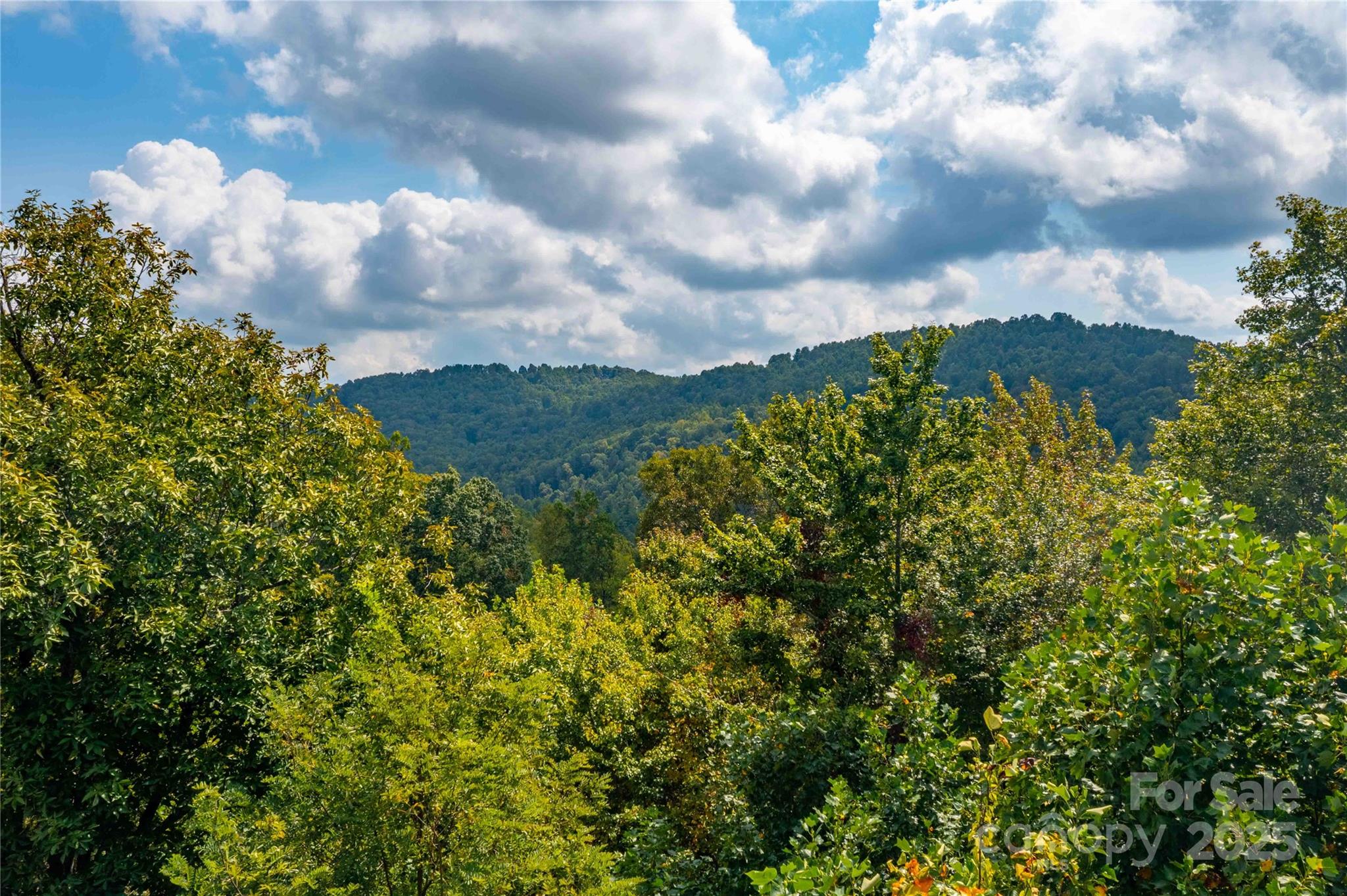 1043 Somersby Parkway Hendersonville NC 28739