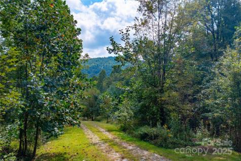 1043 Somersby Parkway Hendersonville NC 28739