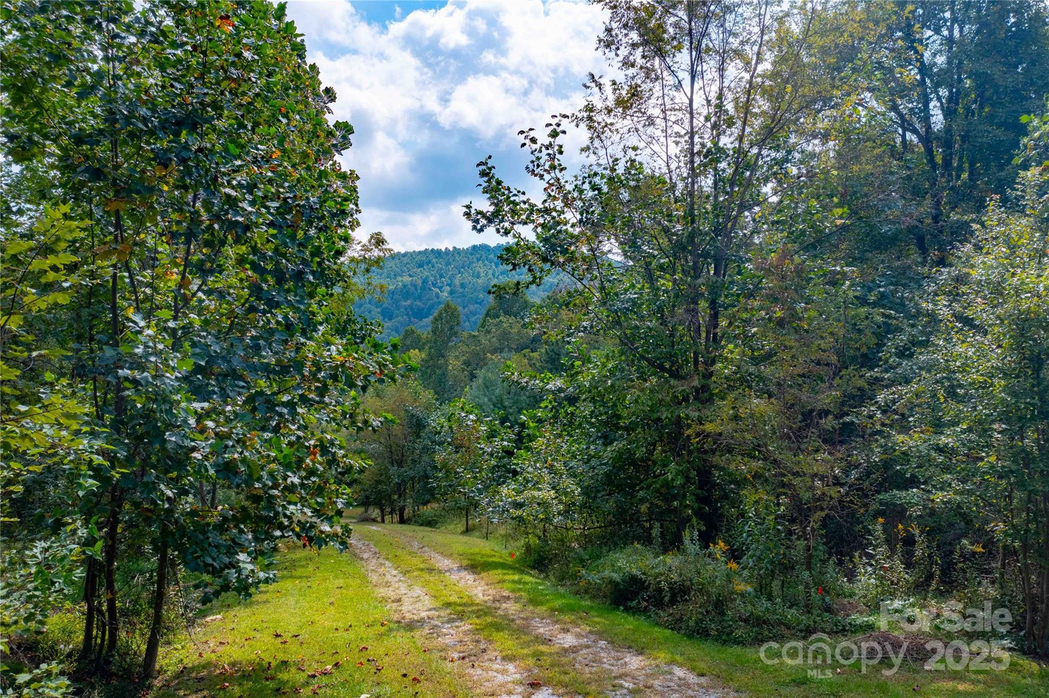 1043 Somersby Parkway Hendersonville NC 28739