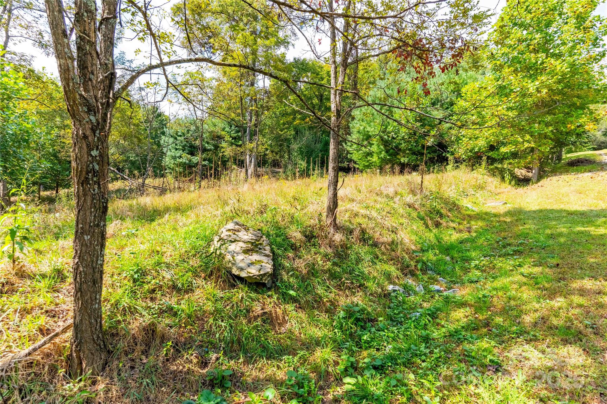 1043 Somersby Parkway Hendersonville NC 28739
