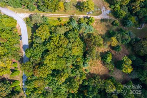 1043 Somersby Parkway Hendersonville NC 28739
