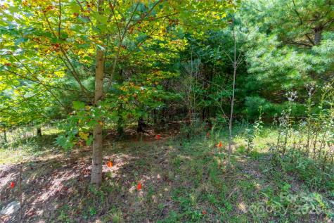 1043 Somersby Parkway Hendersonville NC 28739