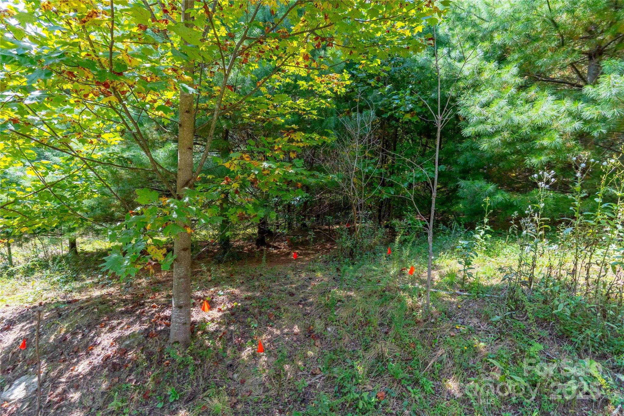 1043 Somersby Parkway Hendersonville NC 28739