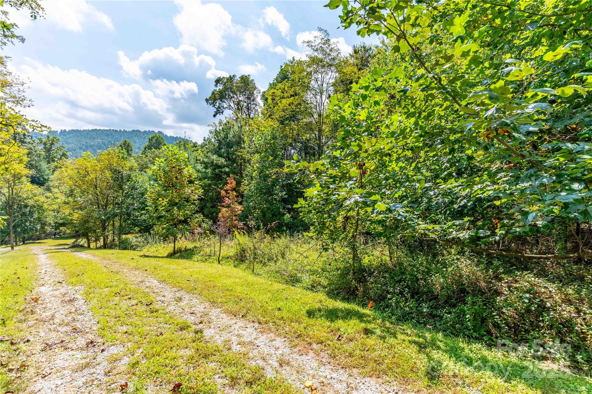 1043 Somersby Parkway Hendersonville NC 28739